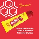 Carmex/ Strawberry Moisturizing Lip Balm 10g: كارمكس مرطب الشفاه بالفراولة