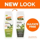 PALMERS/ Coconut Oil Moisture Boost Shampoo 400ml: شامبو بالمرز بزيت جوز الهند