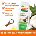PALMERS/ Coconut Oil Moisture Boost Shampoo 400ml: شامبو بالمرز بزيت جوز الهند