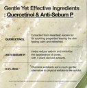 Anua/ Heartleaf Quercetinol Pore Deep Cleansing Foam: