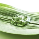 MAGICLEAR/ Fast Action Clarifying Gel 50ml: جل ماجك كلير لعلاج وتنقية البشرة