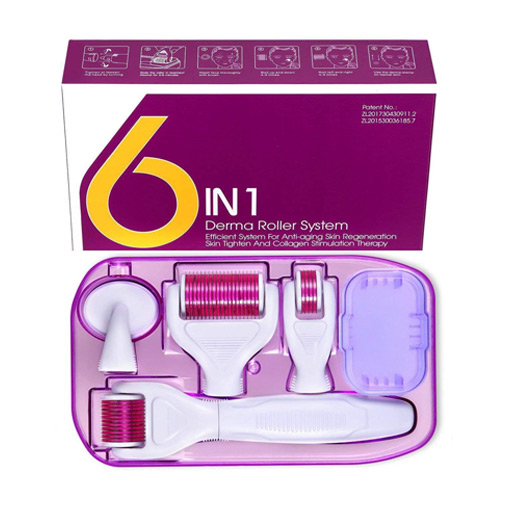 [Variable/001] 6in1 Derma Roller System : ديرما رولر ٦ في ١